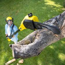 Best Lawn Mowing Services  in Falls Creek, PA